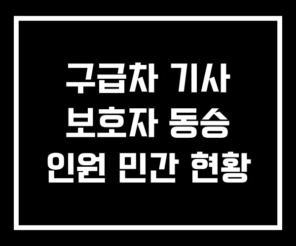 구급차 기사 보호자 동승 인원 민간 현황