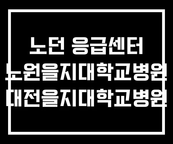 노던 응급센터 노원을지대학교병원 대전을지대학교병원