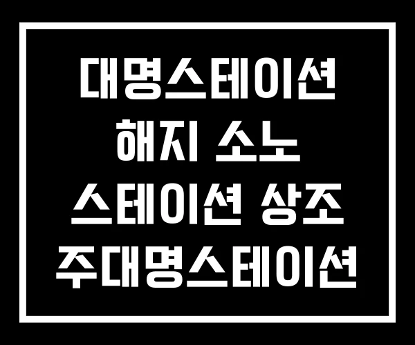 대명스테이션 해지 소노 스테이션 상조 주대명스테이션