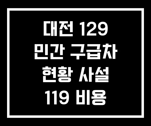 대전 129 민간 구급차 현황 사설 119 비용