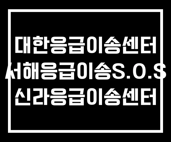 대한응급이송센터 서해응급이송S.O.S 신라응급이송센터