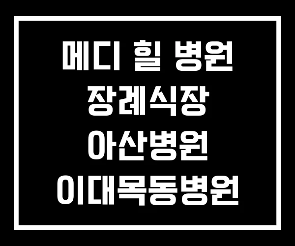 메디 힐 병원 장례식장 아산병원 이대목동병원 가는 길 메디 힐 병원 장례식장 아산병원 이대목동병원 가는 길