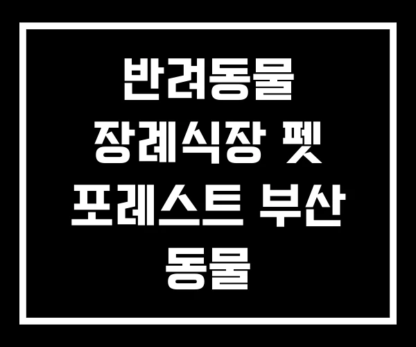 반려동물 장례식장 펫 포레스트 부산 동물 동물장례식장
