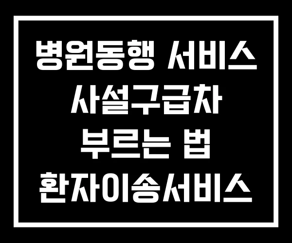 병원동행 서비스 사설구급차 부르는 법 환자이송서비스