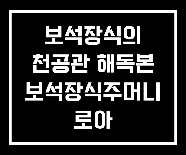 보석장식의 천공관 해독본 보석장식주머니 로아