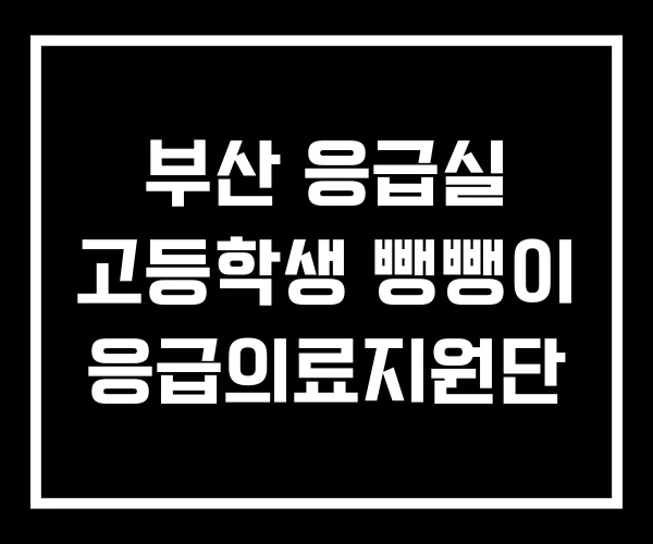 부산 응급실 고등학생 뺑뺑이 응급의료지원단