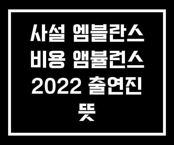 사설 엠블란스 비용 앰뷸런스 2022 출연진 뜻