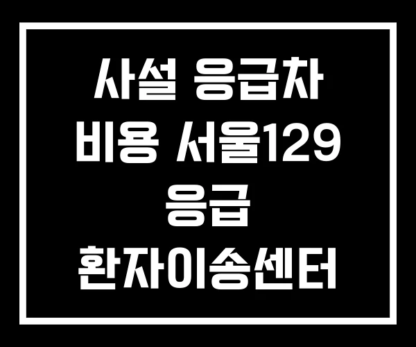 사설 응급차 비용 서울129 응급 환자이송센터