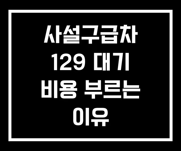 사설구급차 129 대기 비용 부르는 이유