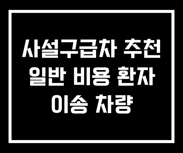 사설구급차 추천 일반 비용 환자 이송 차량 사설구급차 추천 일반 비용 환자 이송 차량