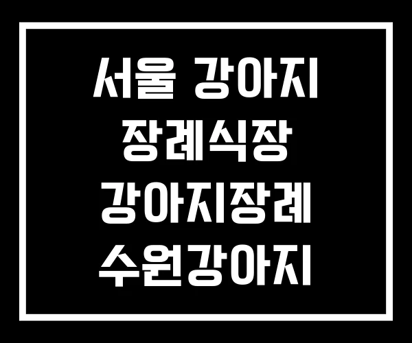서울 강아지 장례식장 강아지장례 수원강아지 서울 강아지 장례식장 강아지장례 수원강아지
