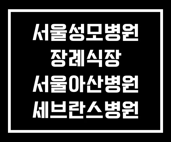 서울성모병원 장례식장 서울아산병원 세브란스병원