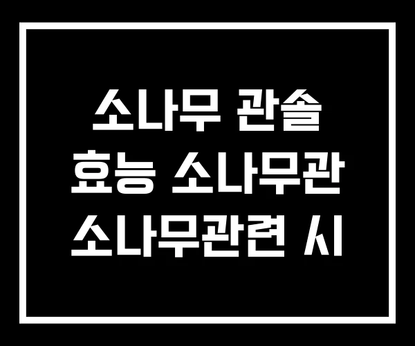 소나무 관솔 효능 소나무관 소나무관련 시