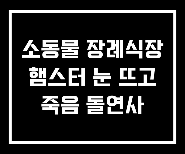 소동물 장례식장 햄스터 눈 뜨고 죽음 돌연사
