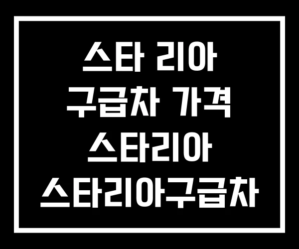 스타 리아 구급차 가격 스타리아 스타리아구급차