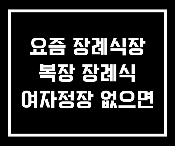 요즘 장례식장 복장 장례식 여자정장 없으면