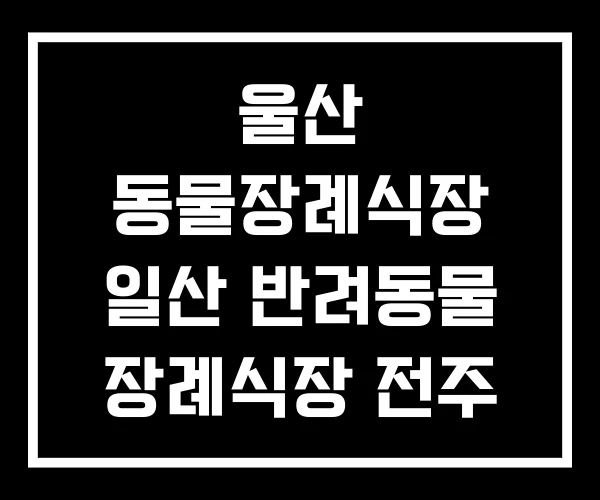 울산 동물장례식장 일산 반려동물 장례식장 전주