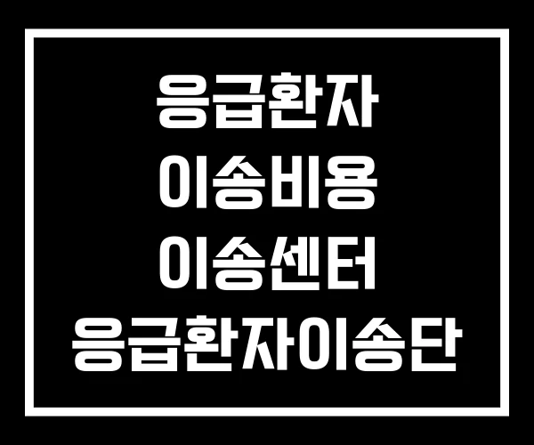 응급환자 이송비용 이송센터 응급환자이송단