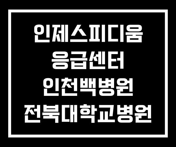 인제스피디움 응급센터 인천백병원 전북대학교병원