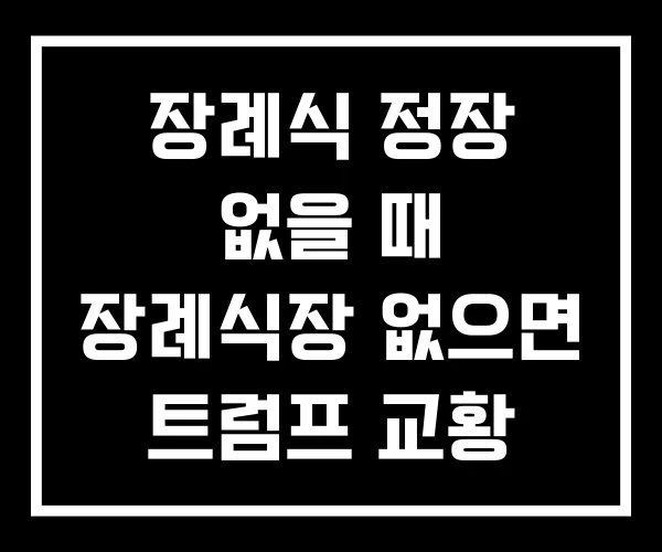 장례식 정장 없을 때 장례식장 없으면 트럼프 교황 파란