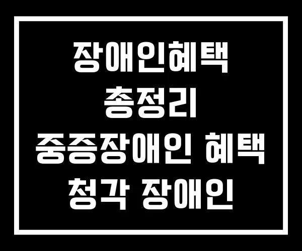 장애인혜택 총정리 중증장애인 혜택 청각 장애인
