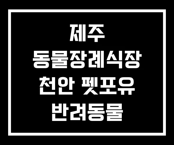 제주 동물장례식장 천안 펫포유 반려동물 장례식장
