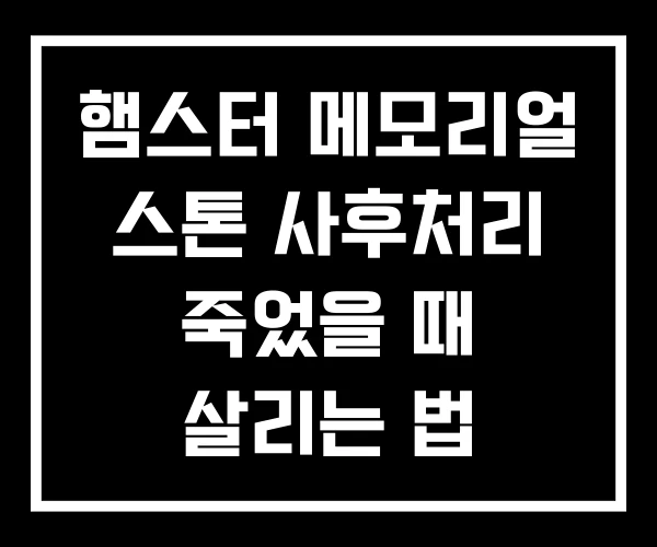 햄스터 메모리얼 스톤 사후처리 죽었을 때 살리는 법 햄스터 메모리얼 스톤 사후처리 죽었을 때 살리는 법