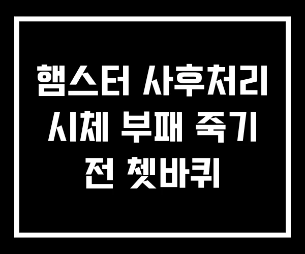 햄스터 사후처리 시체 부패 죽기 전 쳇바퀴