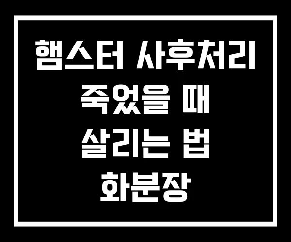 햄스터 사후처리 죽었을 때 살리는 법 화분장 햄스터 사후처리 죽었을 때 살리는 법 화분장