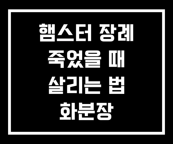 햄스터 장례 죽었을 때 살리는 법 화분장