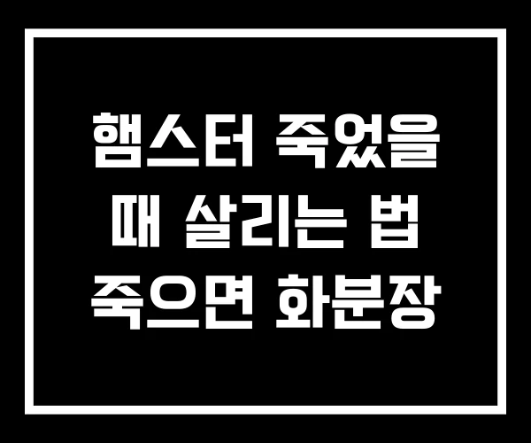 햄스터 죽었을 때 살리는 법 죽으면 화분장